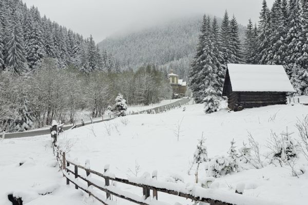 Verschneites Bundschuh