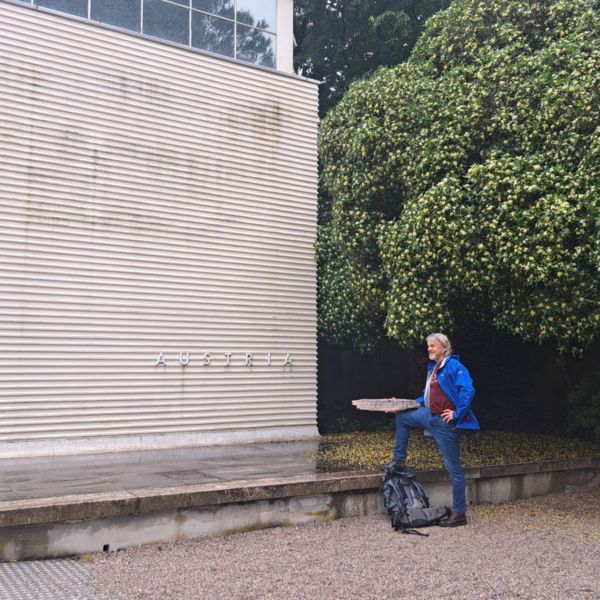 An diesem Baum, vor dem Austria Pavillon auf der Biennale, hat PLÖTZLICH seine Bestimmung gefunden und hängt dort jetzt.